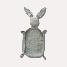 Load image into Gallery viewer, Bunny Lovey - Grey
